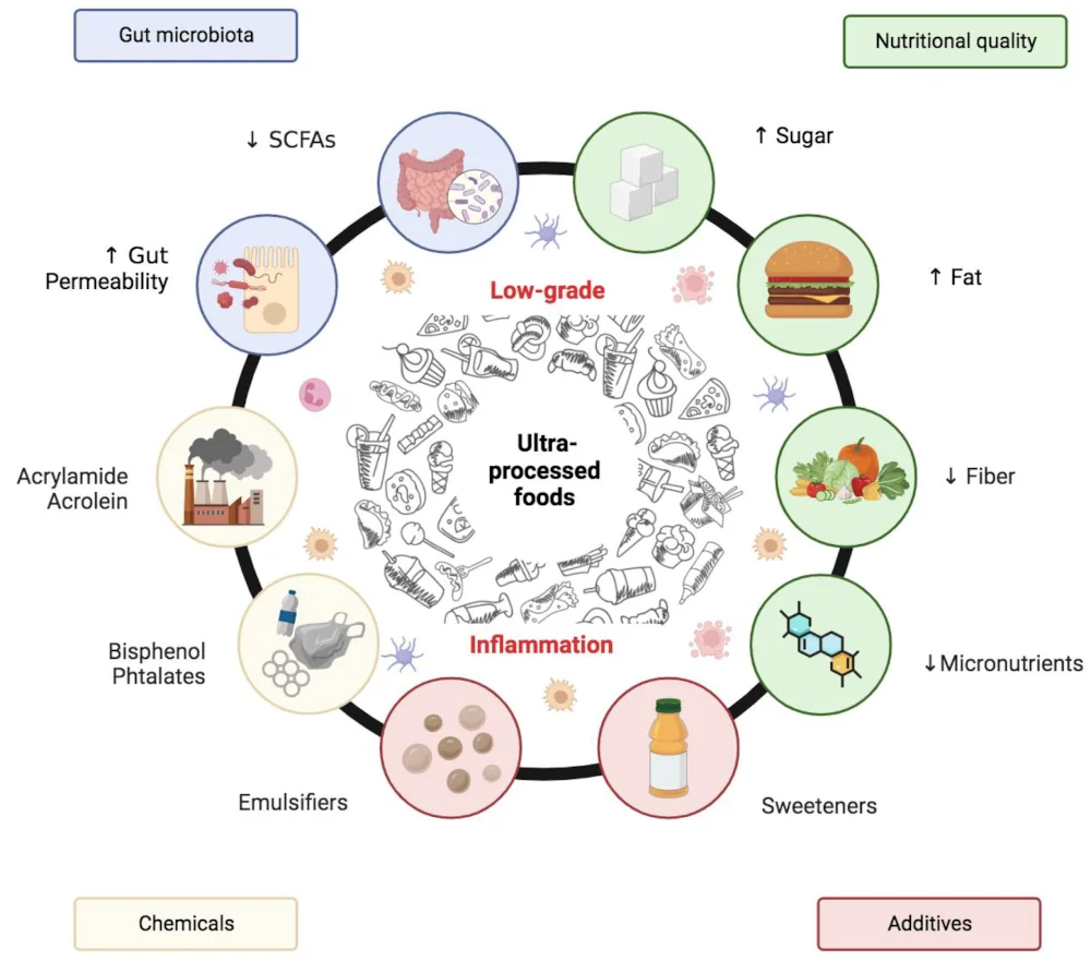 chart showing what foods lead to inflammation