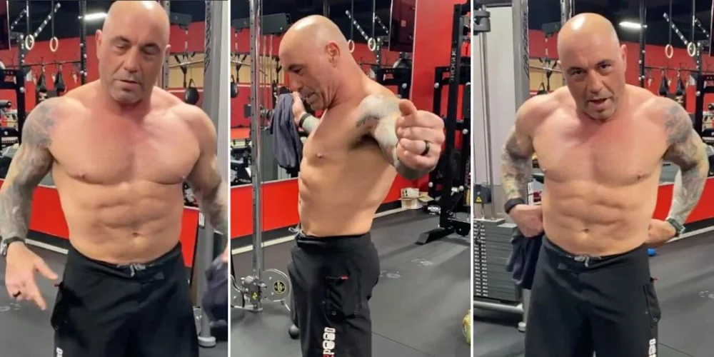 joe rogan carnivore diet