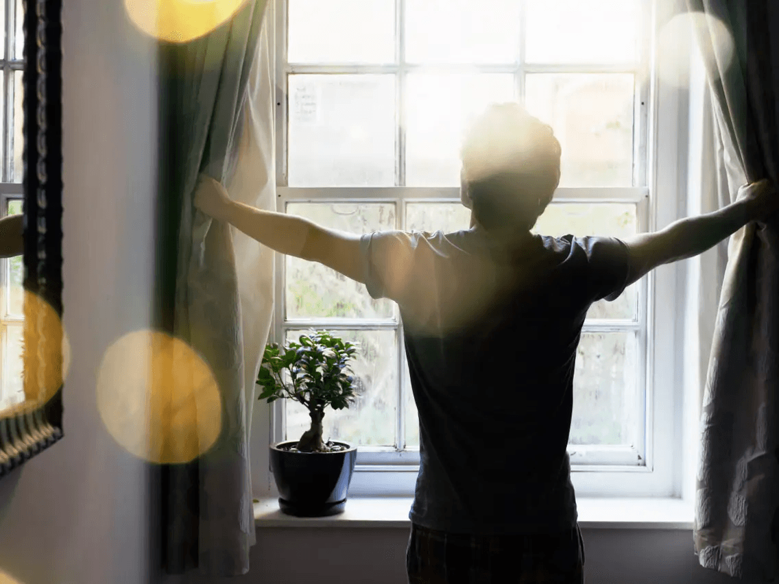 dr andrew huberman waking up